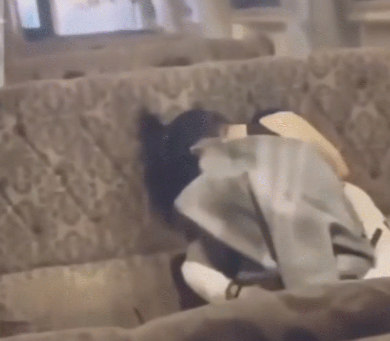 tac dung thuoc kich duc nhanh va manh